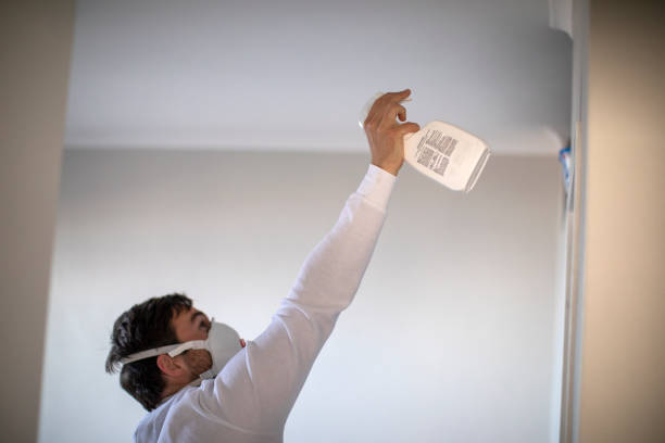 Best Mold Cleaning Services  in Kechi, KS