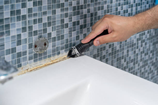  Kechi, KS Mold Removal Pros
